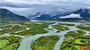 Galeria: Parque Nacional de Pantanais de YaniNos últimos anos, a cidade de Linzhi implementou o Projeto Nacional de Prote??o e Restaura??o das Zonas Húmidas de Yani, com o ambiente ecológico continuando a melhorar. 